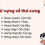 Thú Cưng Vui Vẻ Nhé Mấy Giờ Tiếng Anh Là Gì