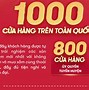 Thương Hiệu Hàng Đầu Việt Nam